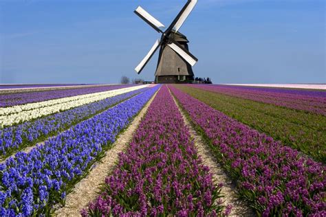 Must Be In Holland Line Photography Photography Topics