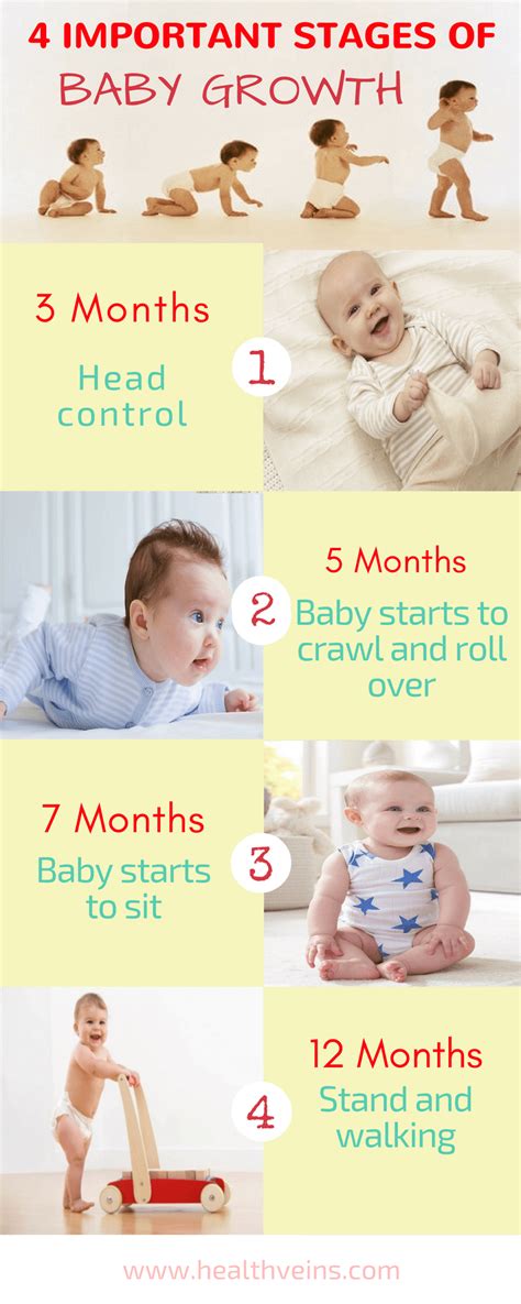 Baby Growth Stages
