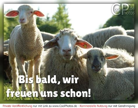 CoolPhotos.de - Bis bald, wir freuen uns schon!