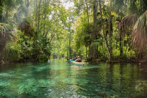 14 Amazing Things To Do In Ocala You Cant Miss