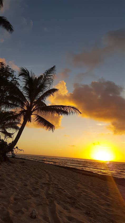 Sunset Beach Oahu Hawaii Top 10 Sunset Beaches Oahu Hawaii Found The