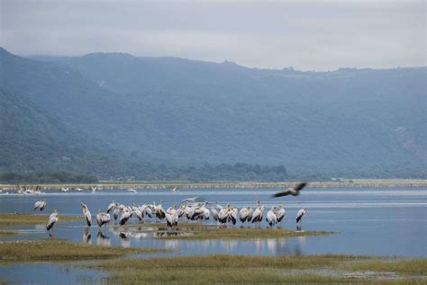 Lake Manyara National Park Tanzania Safaris Expert Africa
