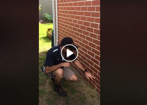 Suburbs include but are not limited to What is a weep hole?