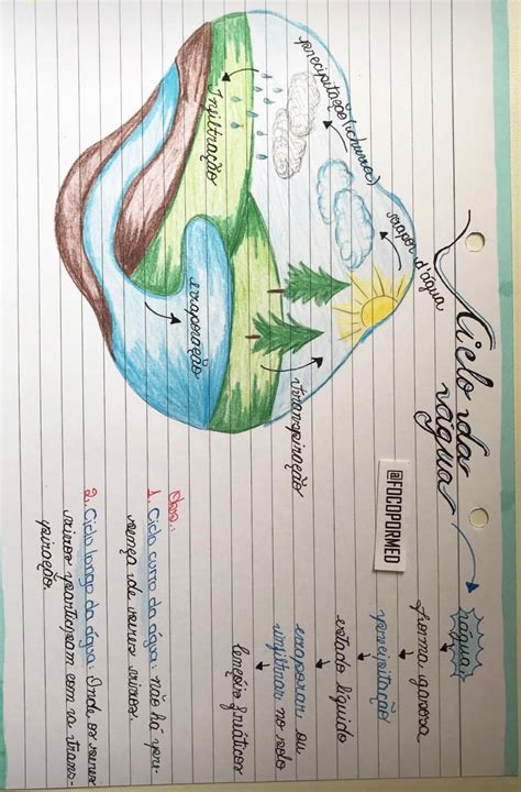 Mapa Mental De Los Ciclos Biogeoquimicos Mema