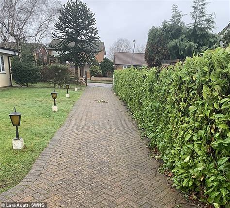 Neighbour Is Caught On Camera Dumping A Huge Pile Of Hedge Clippings On Single Mothers Driveway