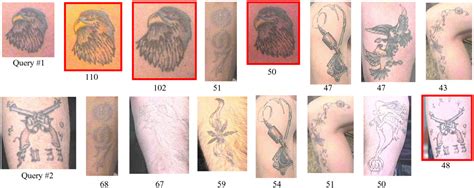 It's a tattoo for the hand, which will include our identification mark and vaccination records. Scars, marks, and tattoos: a soft biometric for ...