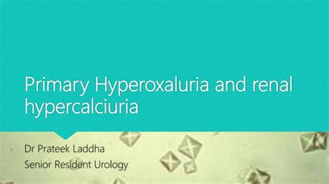 Primary Hyperoxaluria And Renal Hypercalciuria Ppt