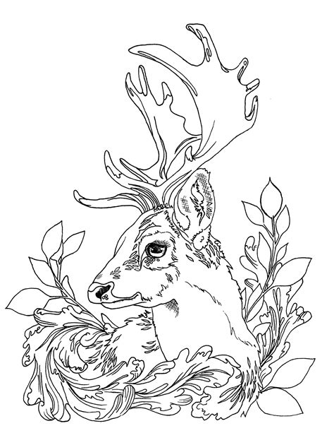 Deer Adult Coloring Pages Printable Download  Etsy