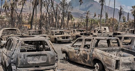 Scenes From The Hawaii Fires And The Aftermath Dnyuz