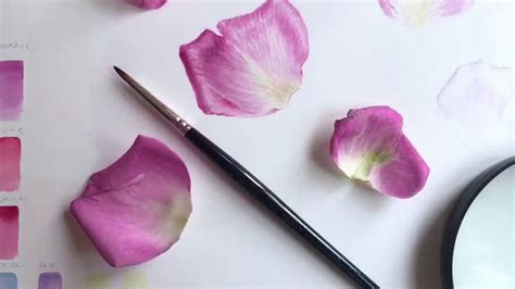 Painting A Pink Rose Petal Youtube Botanical Painting Rose Petals