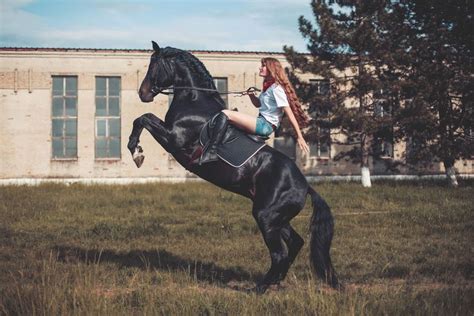 Конь девушка на коне лошадь скачки конная прогулка фотосессия с