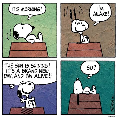 Mornings Peanuts Cartoon Quotes Peanuts Snoopy Comics Snoopy Cartoon