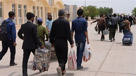 سازمان جهانی مهاجرت اخراج مهاجران افغان از ایران به صورت قابل توجهی افزایش یافته BBC News فارسی