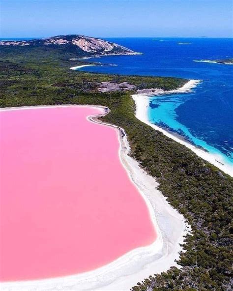 ¿por Qué El Lago Hillier De Australia Es Rosa Espacio Viajes