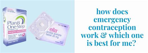 How Does Emergency Contraception Work Pandia Health
