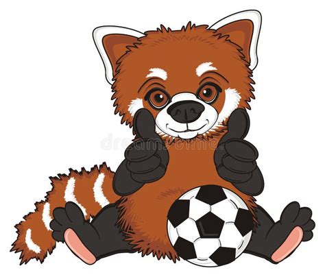 Red Panda Love Play To Football Stock Illustration Illustration Of