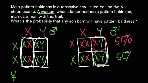 Male Pattern Baldness Genetics Youtube