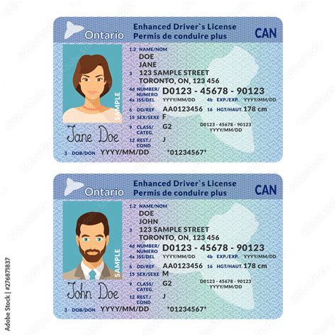 Ontario Drivers License Template Psd Free Printable Form Templates