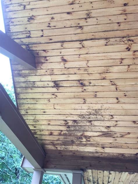 If your house has poor insulation, this can encourage mold growth, including on the ceiling. What can take mold off of my porch ceiling? | Hometalk