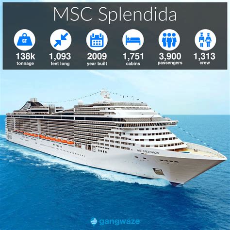 Msc Splendida Size Specs Ship Stats And More