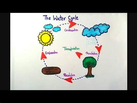 Fun facts for kids about the water cycle. How to draw The water cycle drawing ~ save water - YouTube