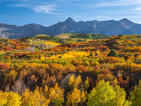 Telluride Autumn Colors Fall Foliage Colorado Aspens Fuji Flickr