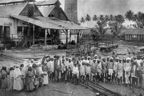 Csr In Fiji — Pyrmont History Group