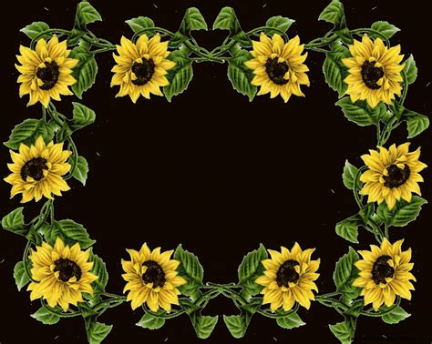 Sunflower Border Clipart Wallpapers Gallery