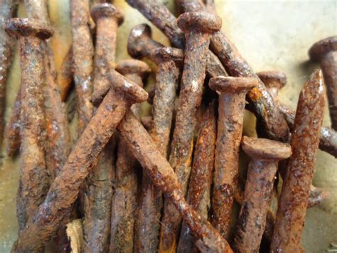 Rusted Nails Free Stock Photo Free Images