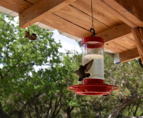 Catering to the family atmosphere is foxfire's goal. Foxfire Cabins, Texas Hill Country Cabins on the Sabinal ...