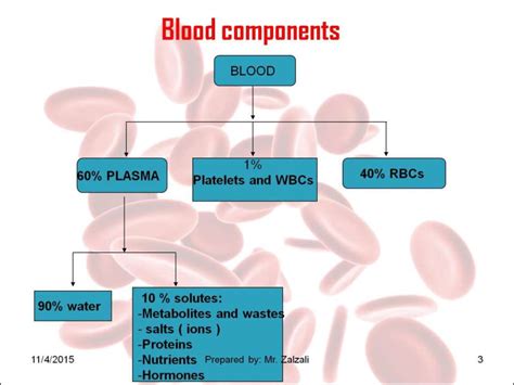 Blood Components Handouts Online Presentation