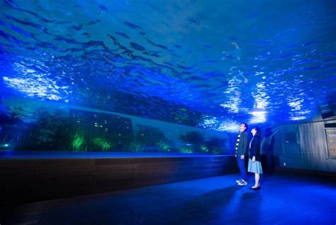 Sunshine Aquarium The Official Tokyo Travel Guide Go Tokyo