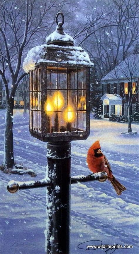 Darrell Bush Warmth Of Winter I Hirsch Illustration Illustration Noel
