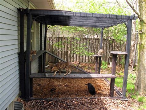 If you are sharing your finished diy project, please explain how it was done. DIY Garden Pergola Cat Enclosure Catio PDF mobi epub guide ...