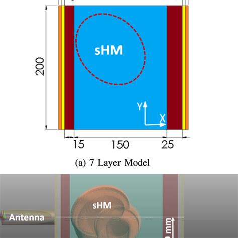 The Measurement Test Setup With The Three Layer Thorax Model A And