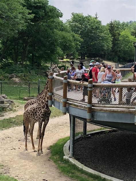 November to april is the perfect time to visit doha. Pin by Lorie A Everett on Cleveland metro parks and zoo ...