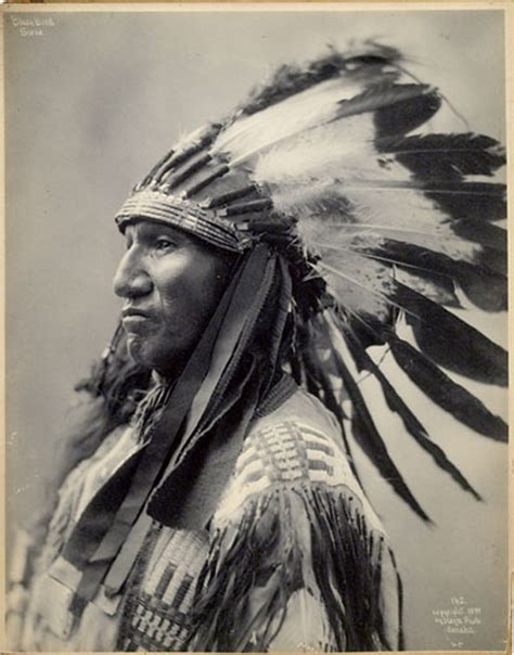 Black Bird Sioux Native American Warrior Native American Pictures