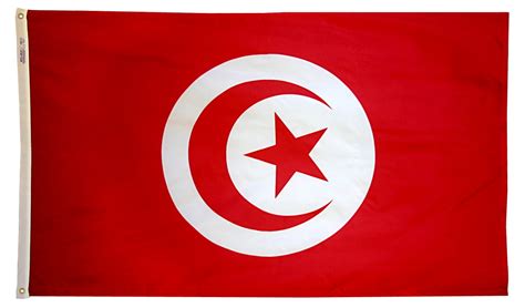 Annin Flagmakers Tunisia International Flag 3x5 Ft Nylon