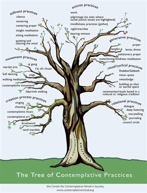 Psychology The Tree Of Contemplative Practices Infographicnow