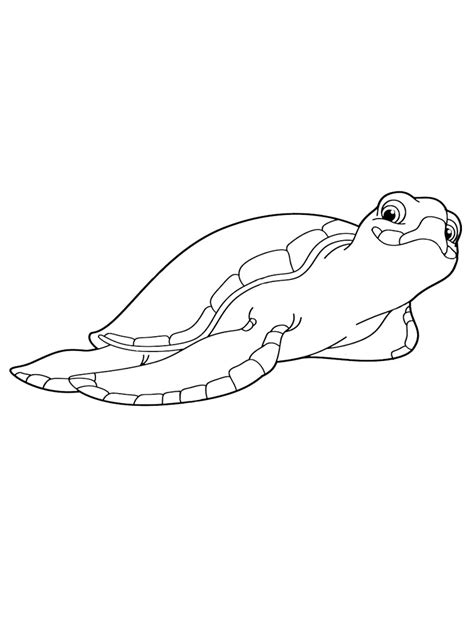 sea turtle coloring pages   print sea turtle coloring pages