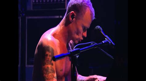 Red Hot Chili Peppers Fleas Piano Solo Live In Köln 2011 Hd