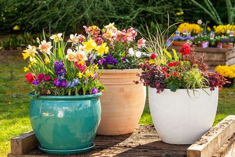 How To Make Beautiful Flower Garden Flower Garden Gardens Colorful
