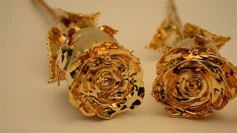 Sinvitron Real Rose Dipped In 24k Gold