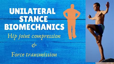 Unilateral Stance Forces Joint Compression Hip Biomechanics