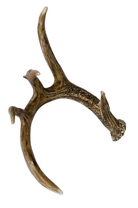 Whitetail Deer Faux Antler Cast Horn Designs