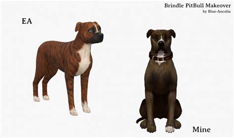 Brindle Pitbull Makeover Third Version At Blue Ancolia Sims 4 Updates