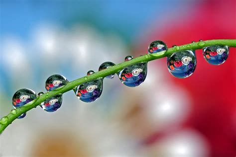 My Best Water Drop Tutorial Illustration I Wrote A Tutoria Flickr