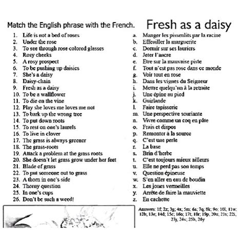 English Phrases In French English Phrases French Phrases Learn French