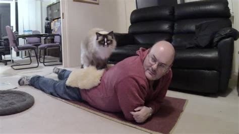 Ragdoll Cat Massages Human Poathtv Funny Cat Video Poathcats Youtube