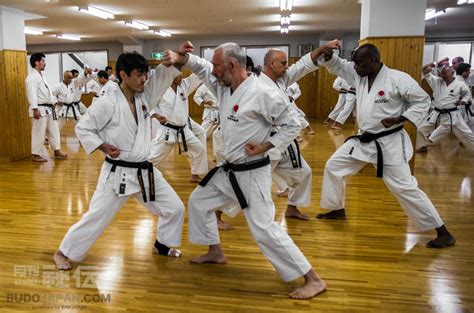 Japanese Shotokan Karate Kata Karate Styles Shotokan Arts Isshinryu Ryu